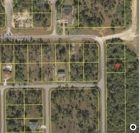 121 Naples Ave S, Lehigh Acres, FL 33974