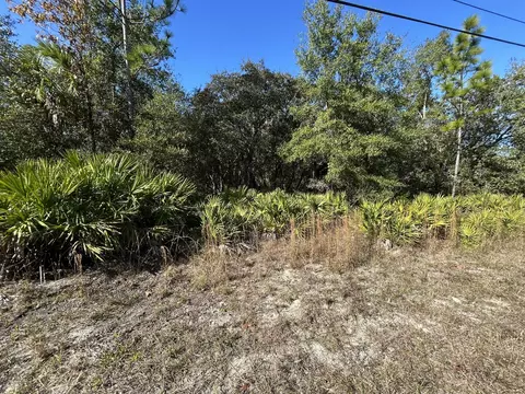 632 N Dunkenfield Ave, Crystal River, FL 34429