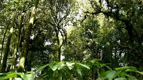 5657 NW Whitecap, Port St Lucie, FL 34953