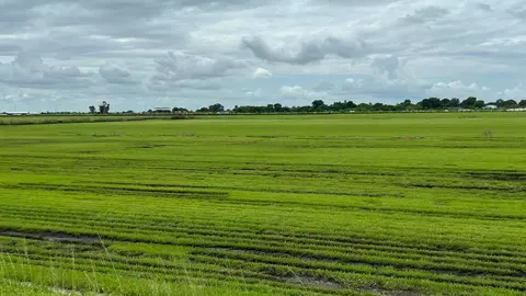 400 State Road 80, Belle Glade, FL 33430