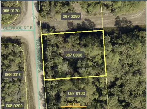 245 Thornton Ave S, Lehigh Acres, FL 33974