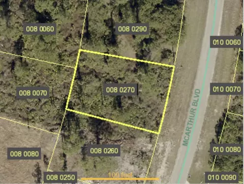 318 Mcarthur Blvd, Lehigh Acres, FL 33974
