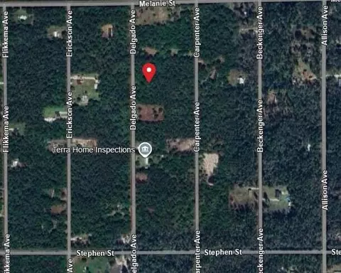 10040 Delgado Ave, Hastings, FL 32145