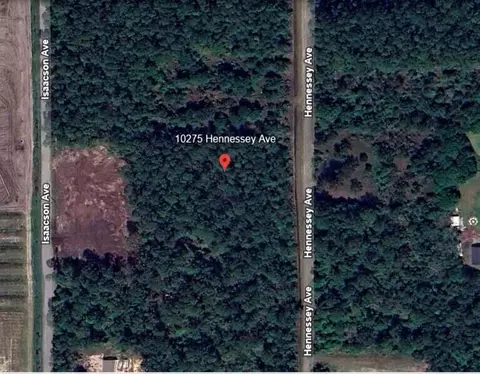 10275 Hennessey Ave, Hastings, FL 32145