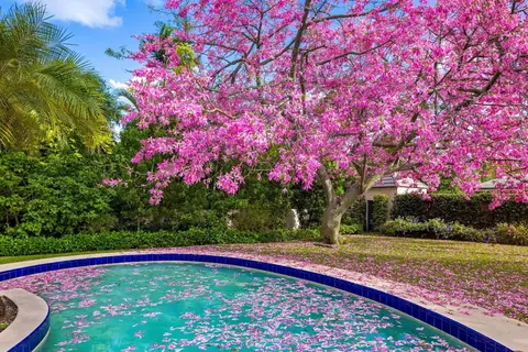 334 Barton Ave, Palm Beach, FL 33480 photo 3