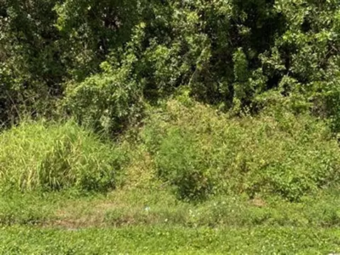 3874 SW Kasin, Port St Lucie, FL 34953