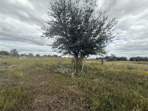 18677 NW 270th St, Okeechobee, FL 34972