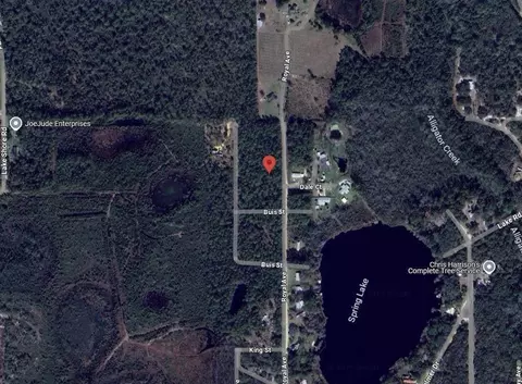 215 Royal Ave, Interlachen, FL 32148 photo 7