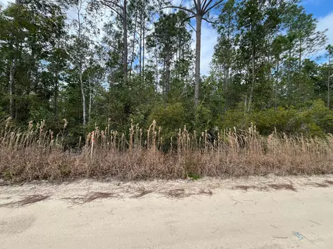 215 Royal Ave, Interlachen, FL 32148 photo 4