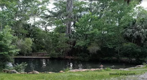 175 Park Ave, Interlachen, FL 32148 photo 2