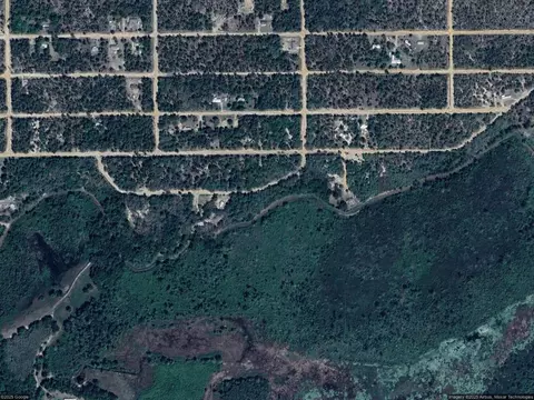 113 Hickory Cir, Interlachen, FL 32148