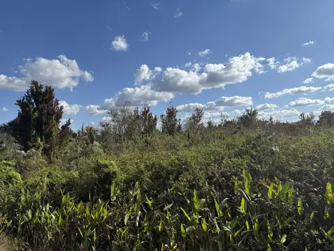 19624 NW 244th St, Okeechobee, FL 34972