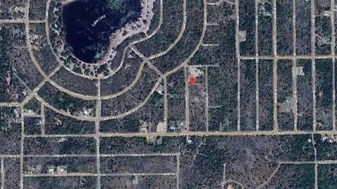 116 Tulip Ave, Interlachen, FL 32148 photo 3