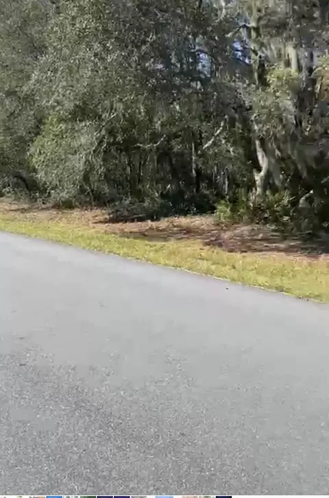 4017 SW 133rd Loop, Ocala, FL 34473 photo 3