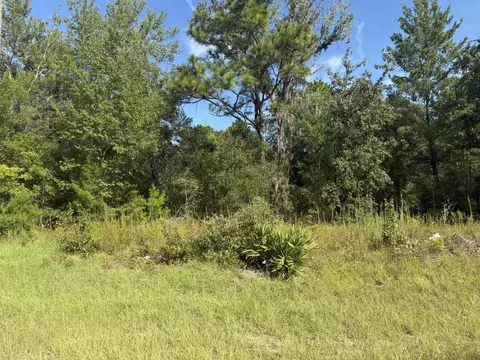 tbd 79th Terrace Rd, Dunnellon, FL 34432