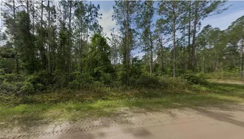 10720 Beckenger Ave, Hastings, FL 32145