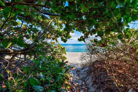 000 S Undisclosed Rd, Jupiter Island, FL 33455