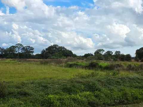1132 NE 48th Ave, Okeechobee, FL 34972 photo 12