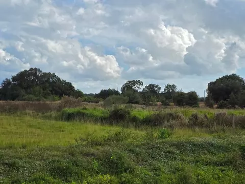 1132 NE 48th Ave, Okeechobee, FL 34972 photo 9