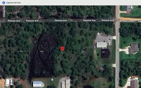 2013 Petunia Ave, Sebring, FL 33875