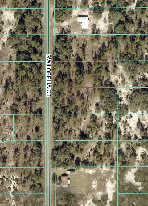tbd SW Lot 32 Sw Lobelia Ct, Dunnellon, FL 34431