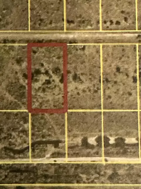 22076 NW 242nd St, Okeechobee, FL 34972