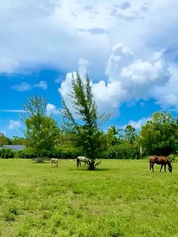 12398 Tangerine Blvd, West Palm Beach, FL 33412