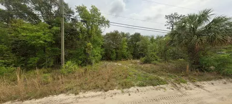 00 Riverside Trl, Satsuma, FL 32189