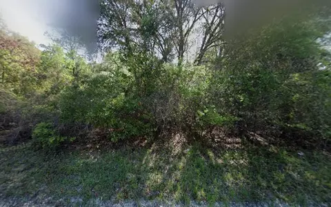 tbd NE 799th St, Old Town, FL 32680