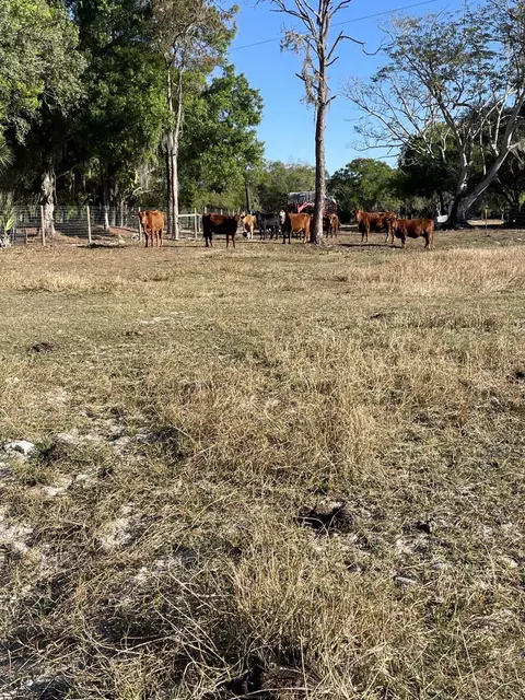 1220 A Rd, Labelle, FL 33935 photo 30