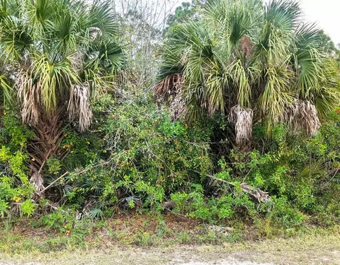 12885 86th St, Fellsmere, FL 32948