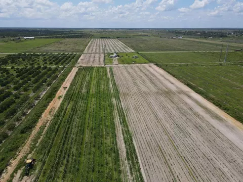 6694 5th Rd, Labelle, FL 33935