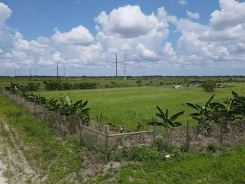 6694 5th Rd, Labelle, FL 33935 photo 10