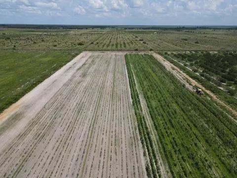 6694 5th Rd, Labelle, FL 33935 photo 3