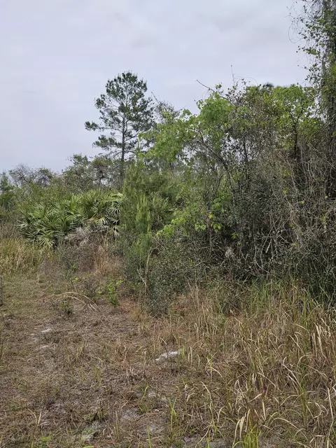 35485 NE 7th Dr, Okeechobee, FL 34972 photo 23