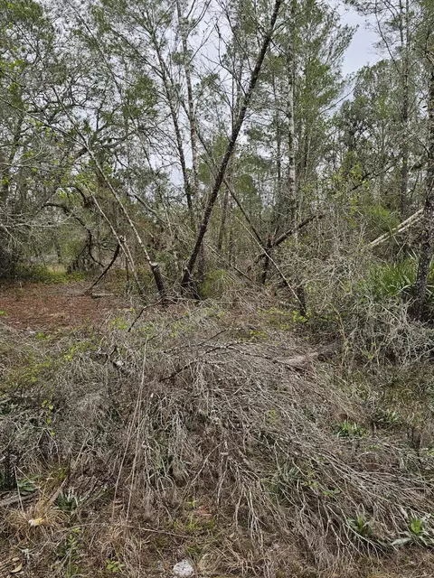 35485 NE 7th Dr, Okeechobee, FL 34972 photo 25