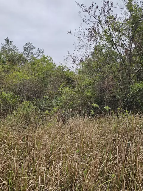 35485 NE 7th Dr, Okeechobee, FL 34972 photo 22