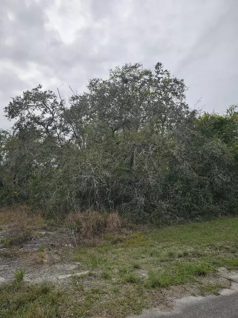 35485 NE 7th Dr, Okeechobee, FL 34972 photo 6