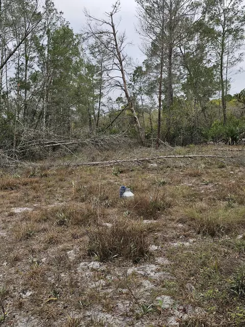35485 NE 7th Dr, Okeechobee, FL 34972 photo 30