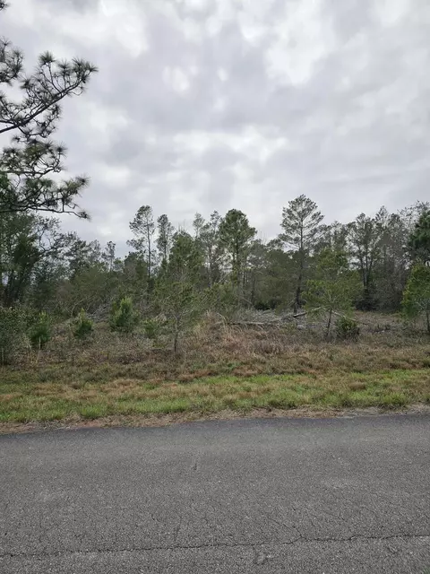 35485 NE 7th Dr, Okeechobee, FL 34972 photo 3