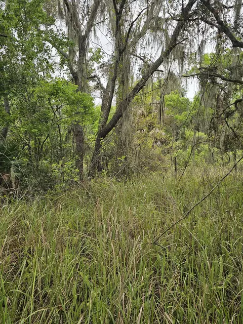 35485 NE 7th Dr, Okeechobee, FL 34972 photo 17