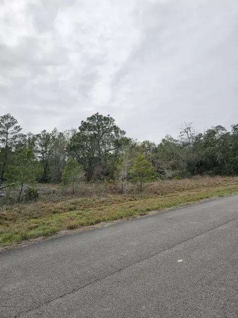 35485 NE 7th Dr, Okeechobee, FL 34972 photo 4