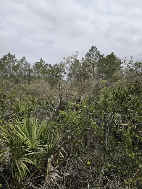 35485 NE 7th Dr, Okeechobee, FL 34972 photo 10