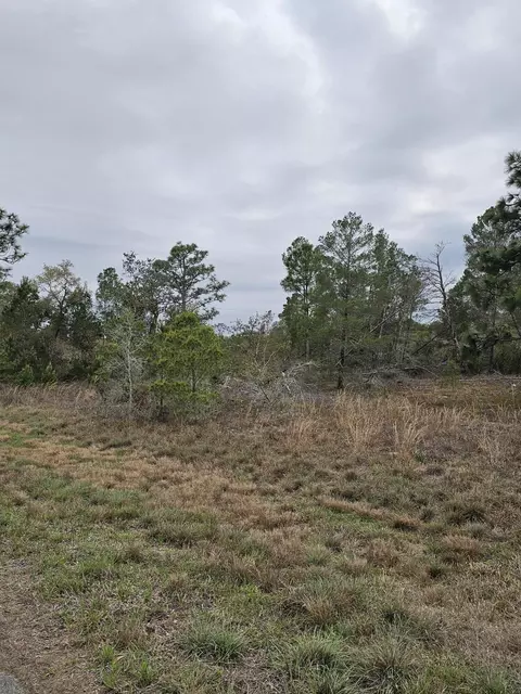 35485 NE 7th Dr, Okeechobee, FL 34972 photo 33