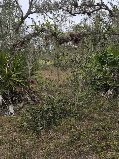 35485 NE 7th Dr, Okeechobee, FL 34972 photo 27