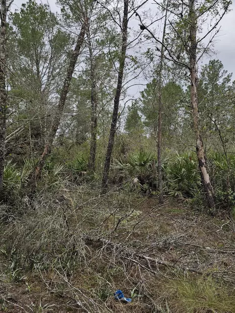 35485 NE 7th Dr, Okeechobee, FL 34972 photo 26