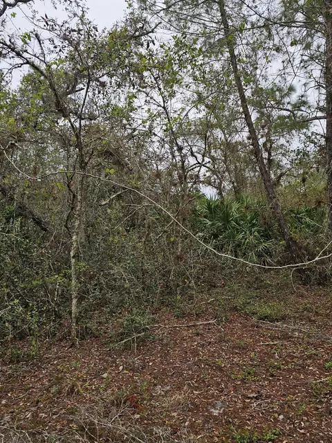 35485 NE 7th Dr, Okeechobee, FL 34972 photo 29