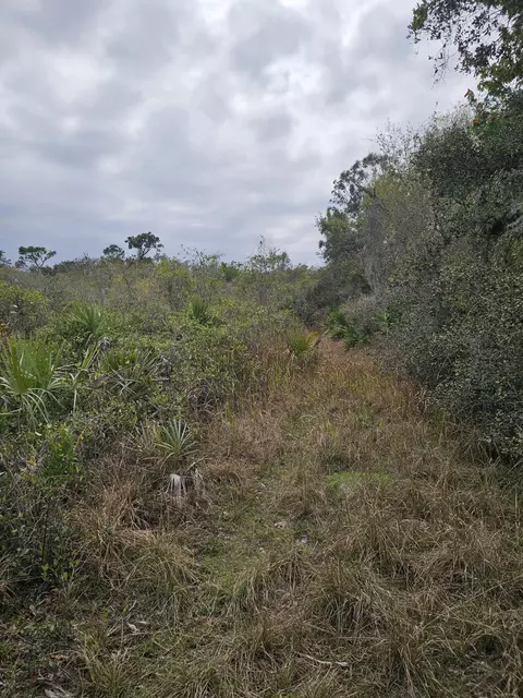 35485 NE 7th Dr, Okeechobee, FL 34972 photo 9