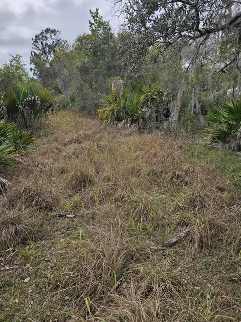 35485 NE 7th Dr, Okeechobee, FL 34972 photo 8