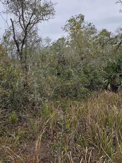 35485 NE 7th Dr, Okeechobee, FL 34972 photo 24